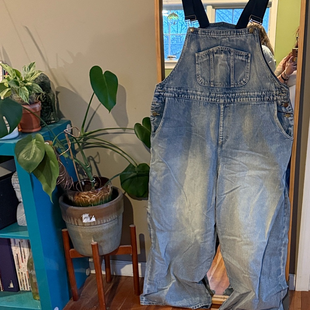 Cider Denim Overalls with Adjustable Straps NEW
